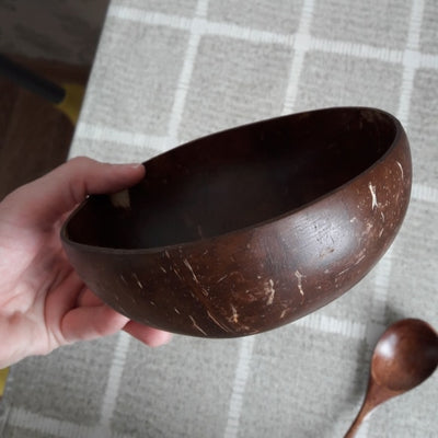 Creative Natural Coconut Bowl Eco Friendly Decor