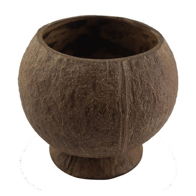 Creative Natural Coconut Bowl